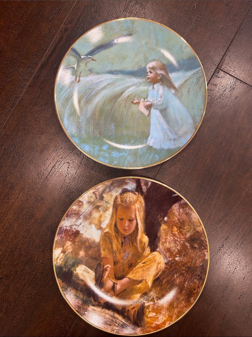 Thomas Kinkade Collector Plates Set of 2 “Beyond the Sky” & “Sand In Her Shoe”